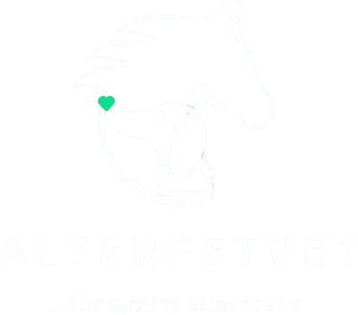 Alterpetvet állatorvosi rendelő fiziterápia