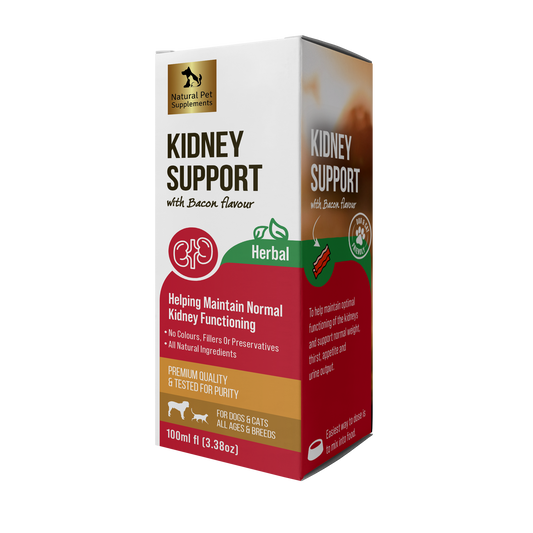 Kidney Support