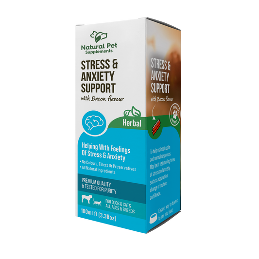 Stress & Anxiety Support