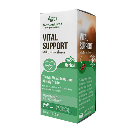 Vital Support