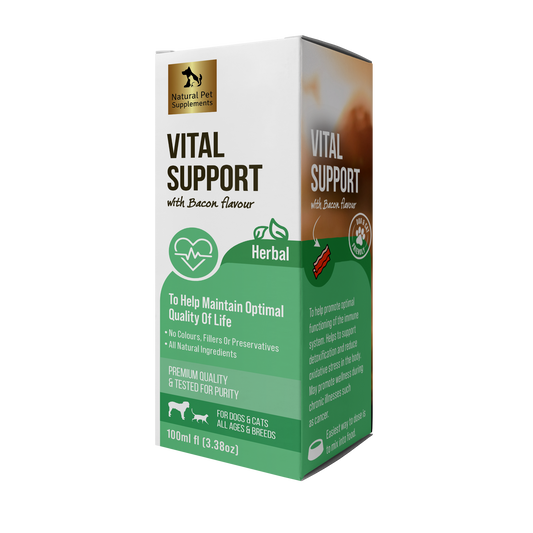 Vital Support